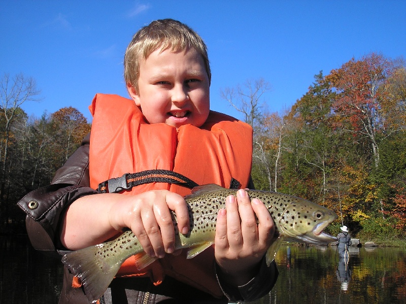 Highland lake Brown