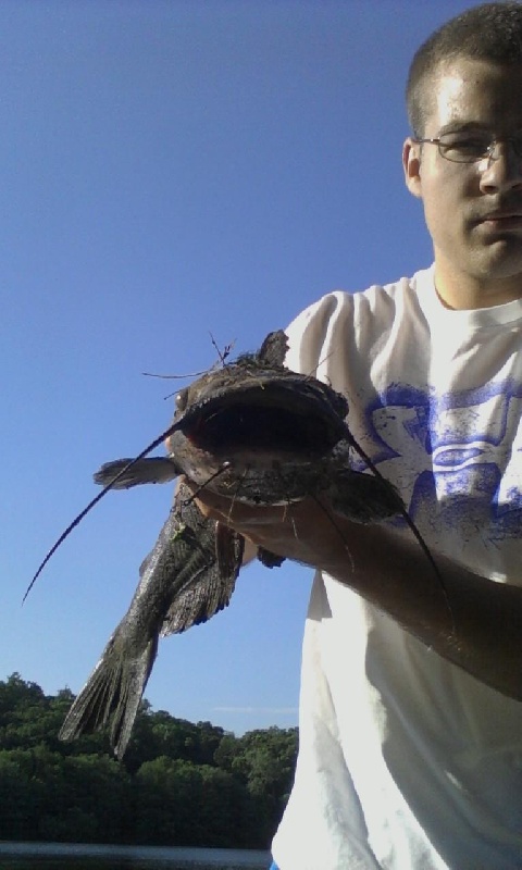 BIG CATFISH!!