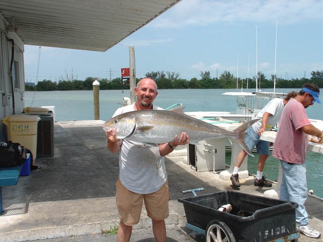 35lb Amberjack