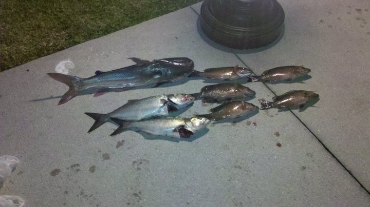 Catch of the night.