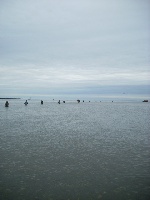 CTRI HFFA Saltwater Outing Fishing Report