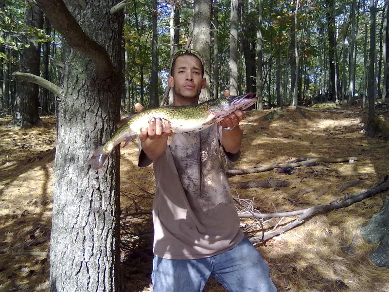 Bigg Chain Pickerel