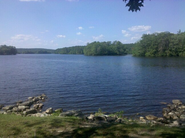 Lake Williams