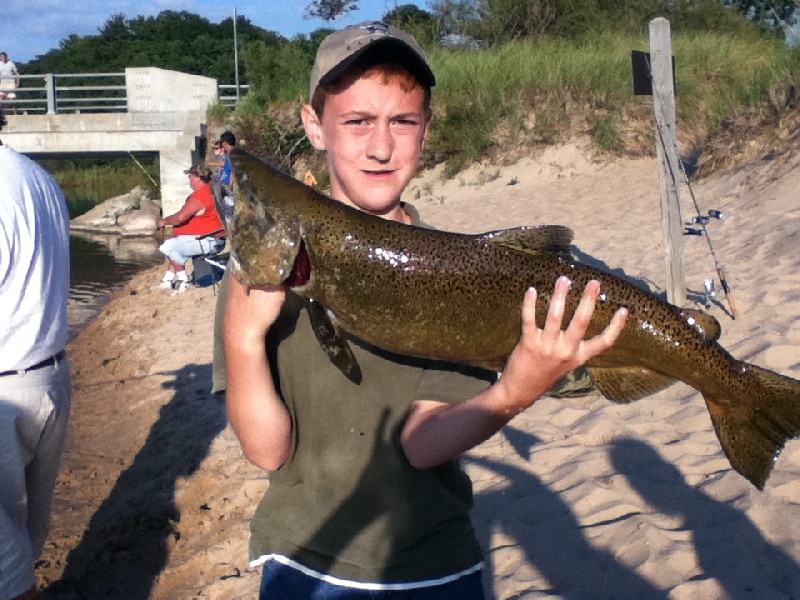 my huge 3 ft salmon from ludington st park