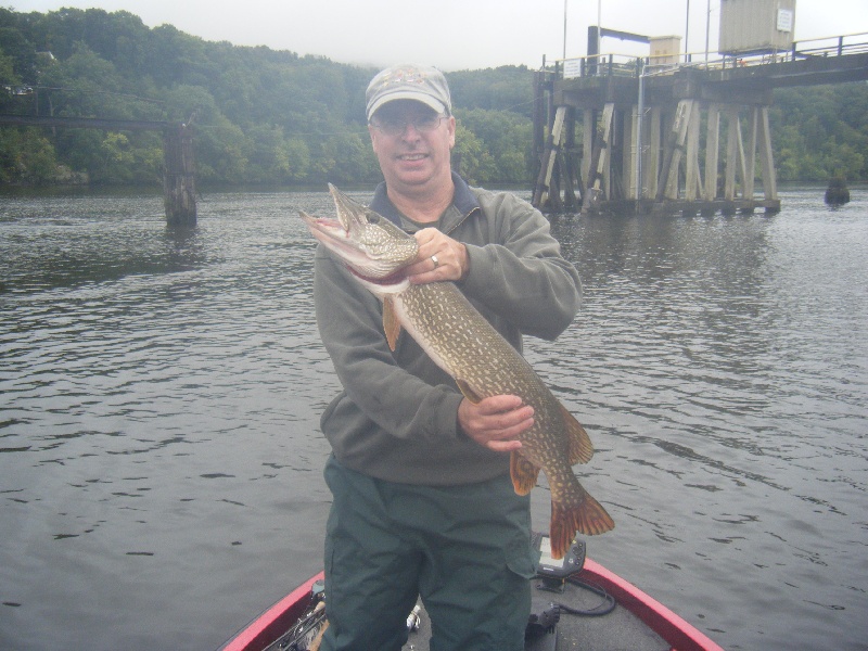 Steve's Pike