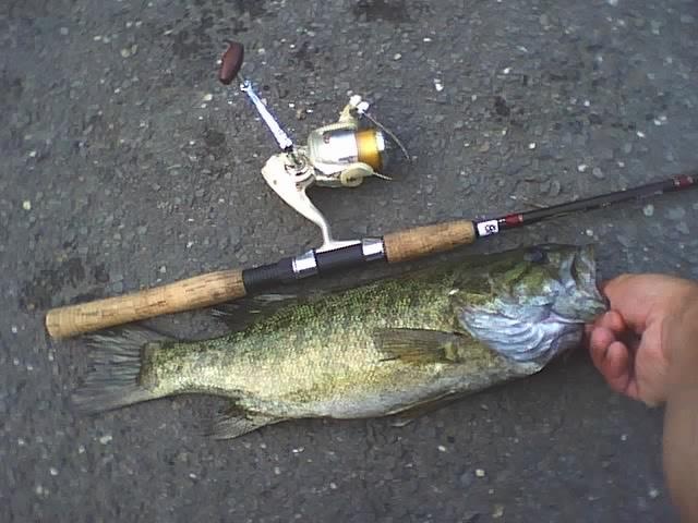 MY Largest smallie this year? Nope near Newtown