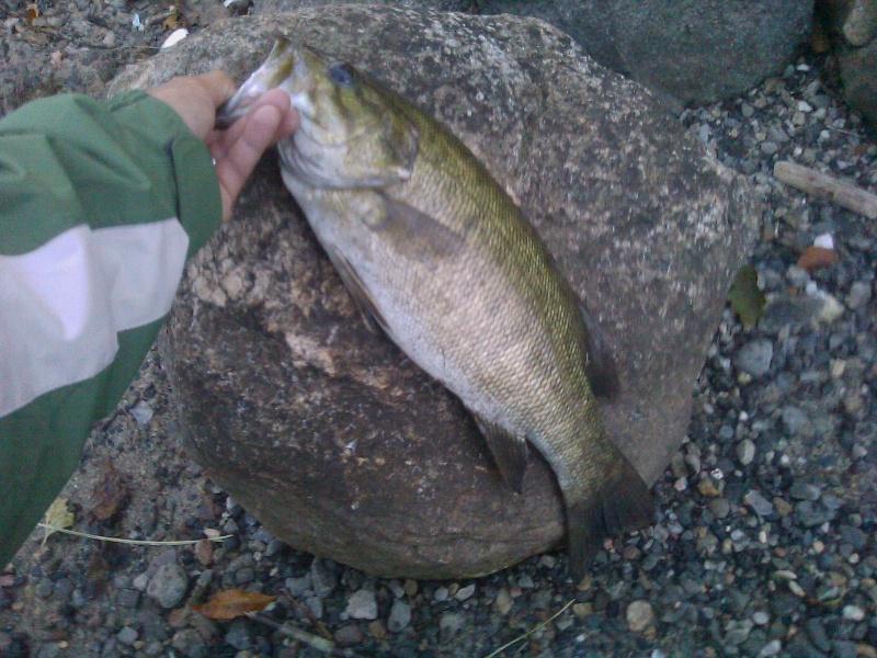 Brookfield fishing photo 2