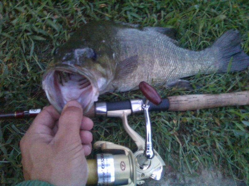 Brookfield fishing photo 1