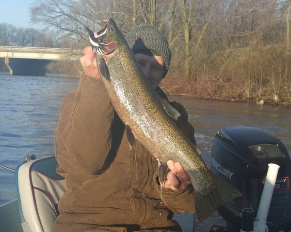 spring steelhead