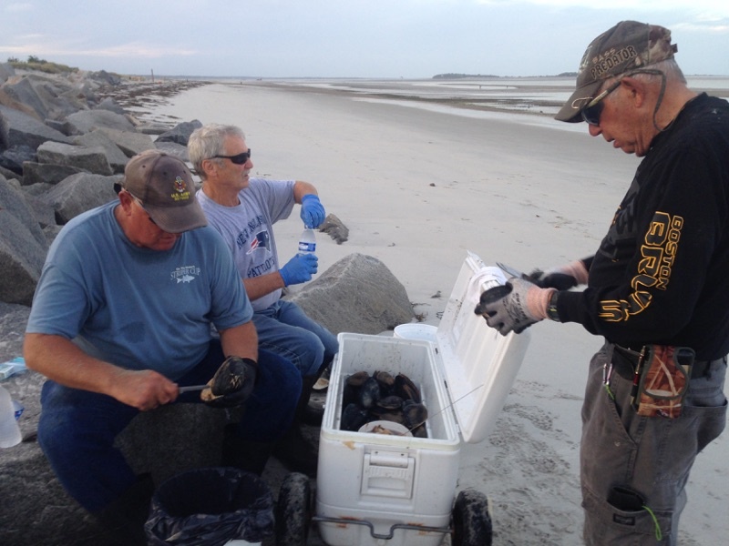 Sea Clamming