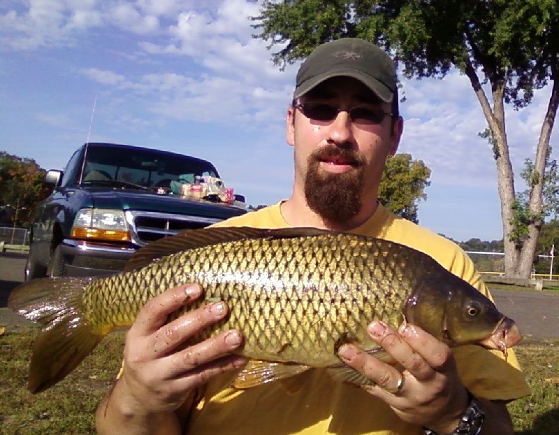 Local Carp