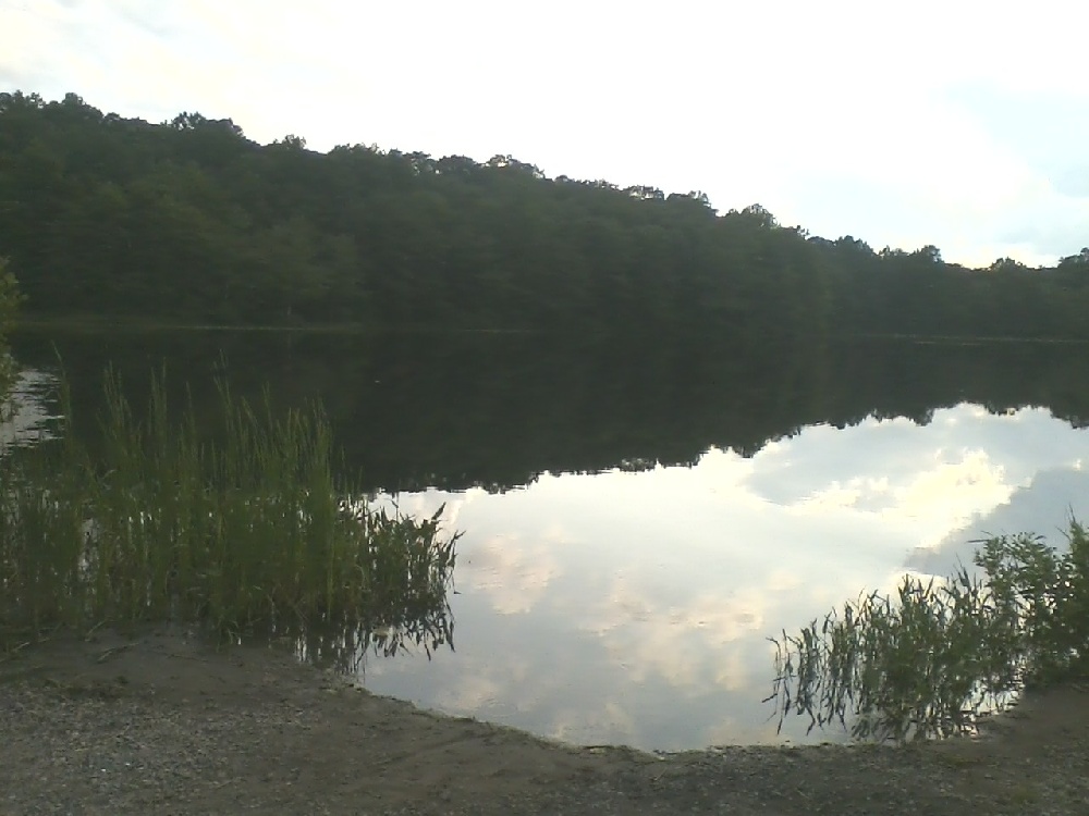 horse pond