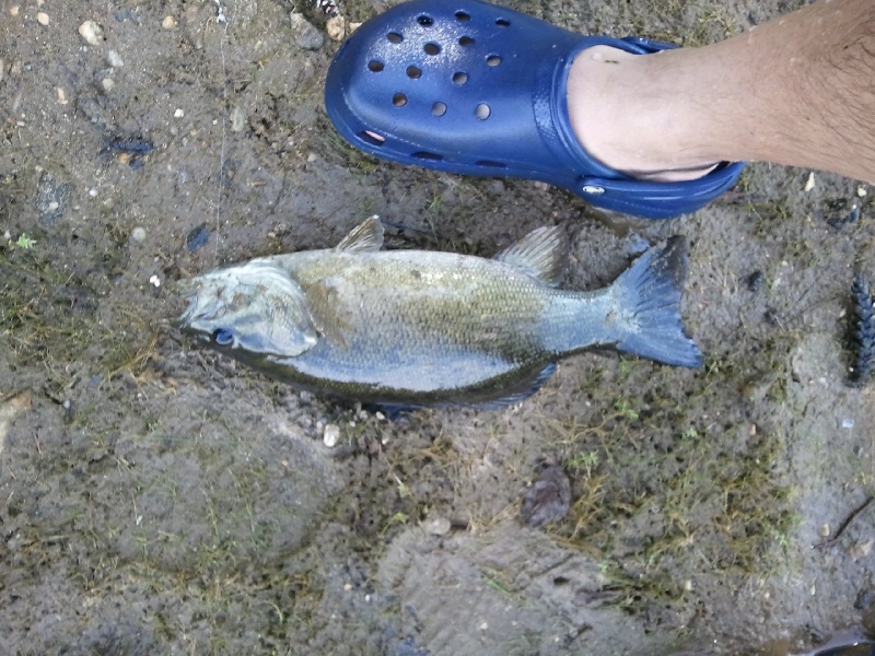 lake mcdonough