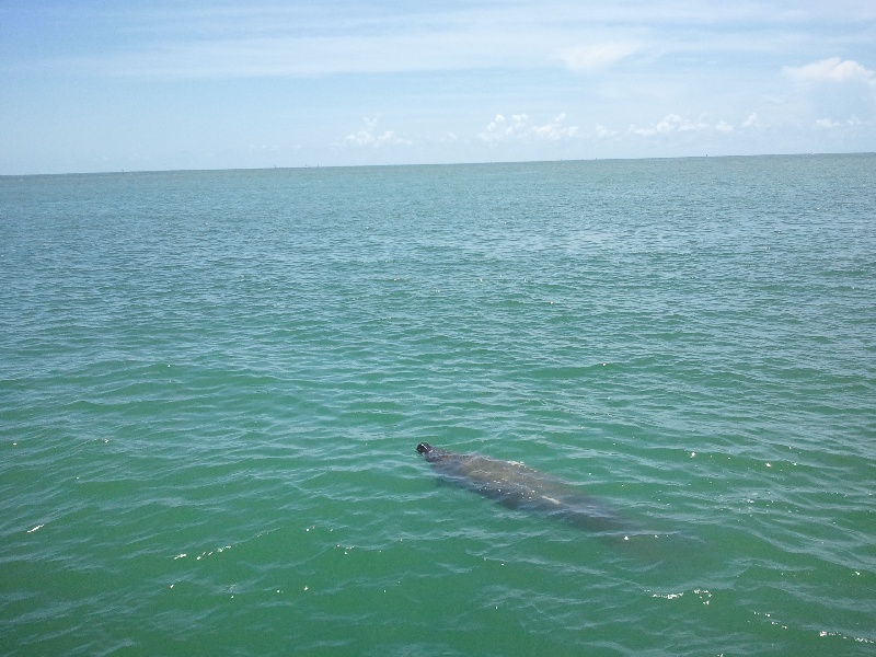 St Pete Beach