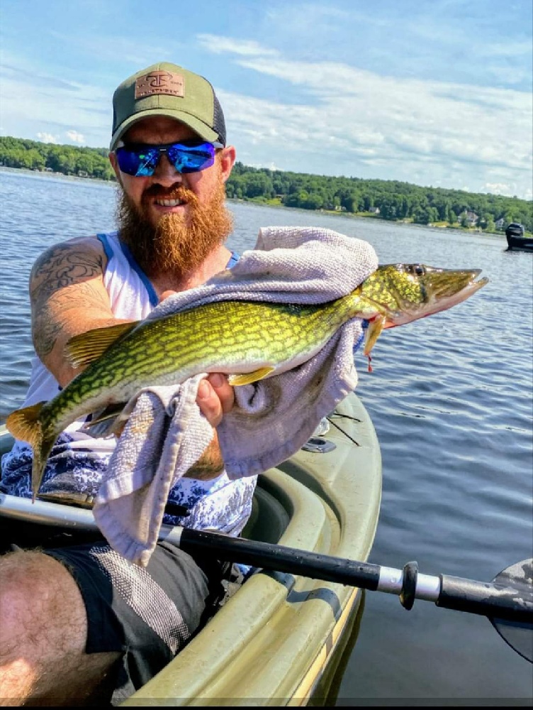 Pickerel Photo Details - CT Fish Finder