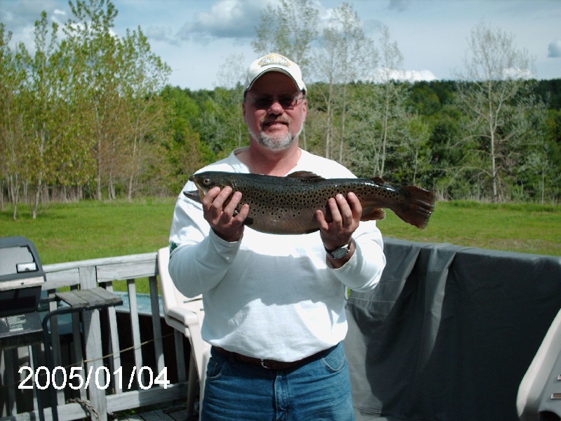 7 lb brown Boomasheen Vt