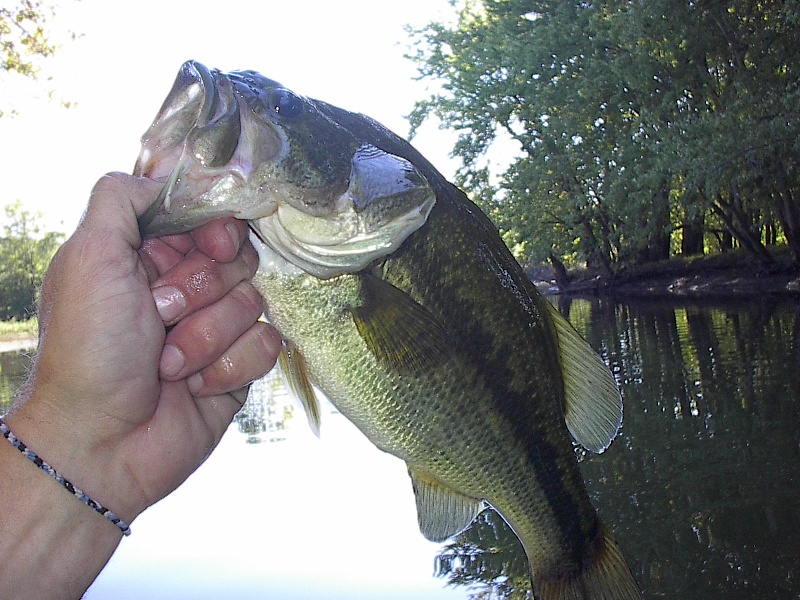 CT River LMB 2