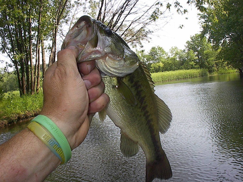 CT River LMB 4