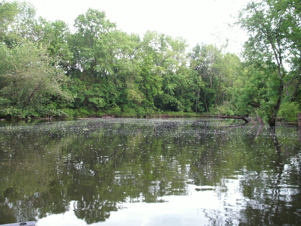 Nature near Middletown