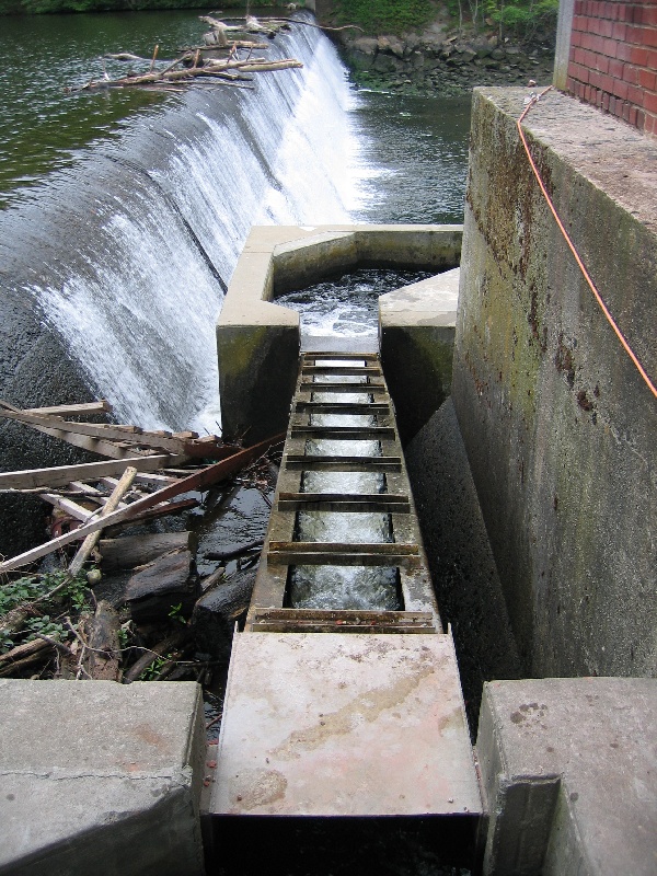 Mianus River Fishway near Norwalk