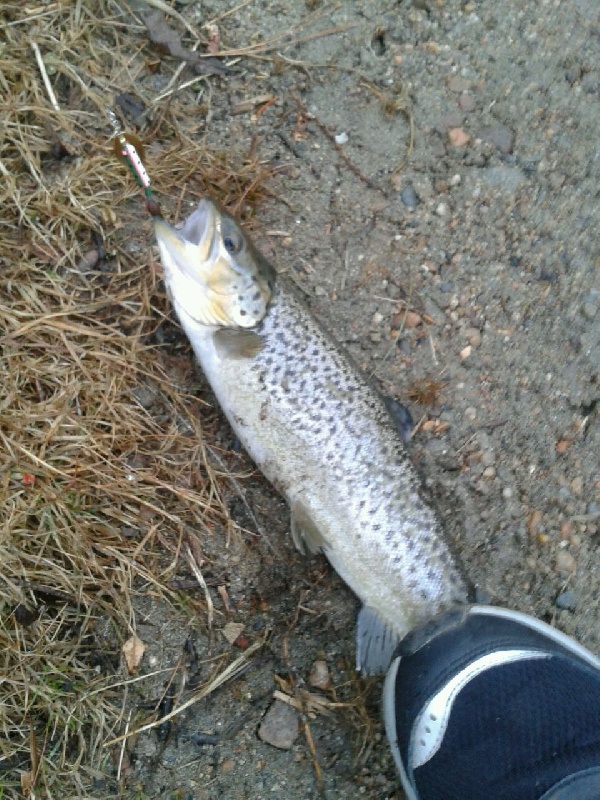 Westport fishing photo 2