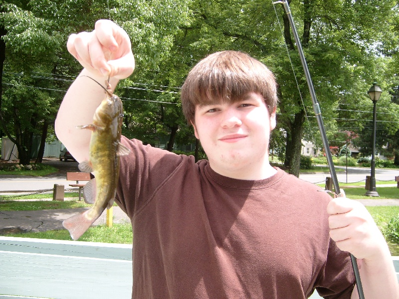 Bullhead Catfish