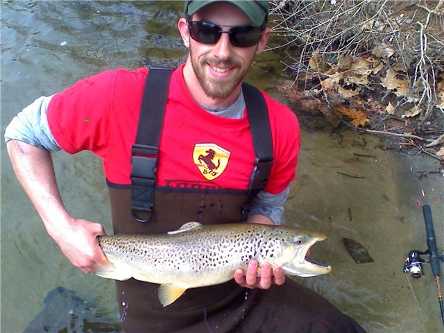 5lb Brown trout