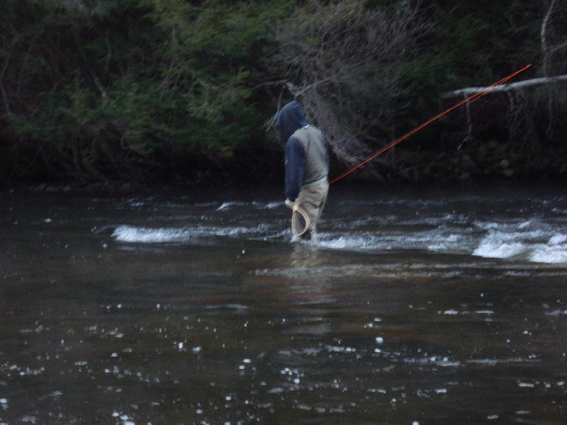 Engster Wading