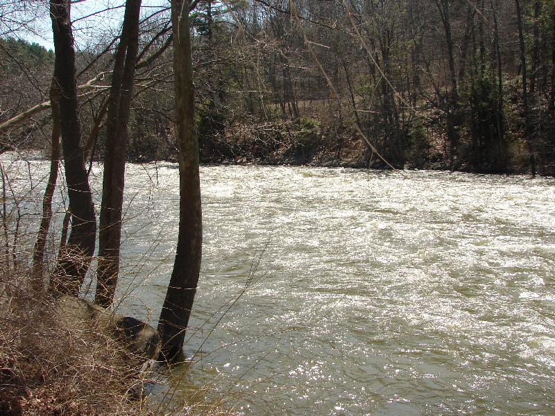 River South of Bridge