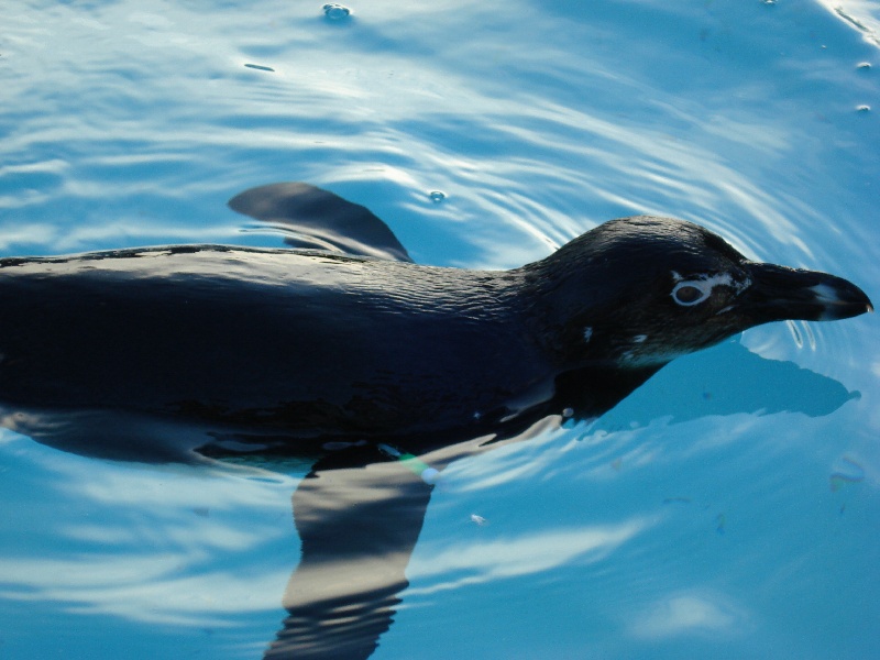 Mystic Aquarium