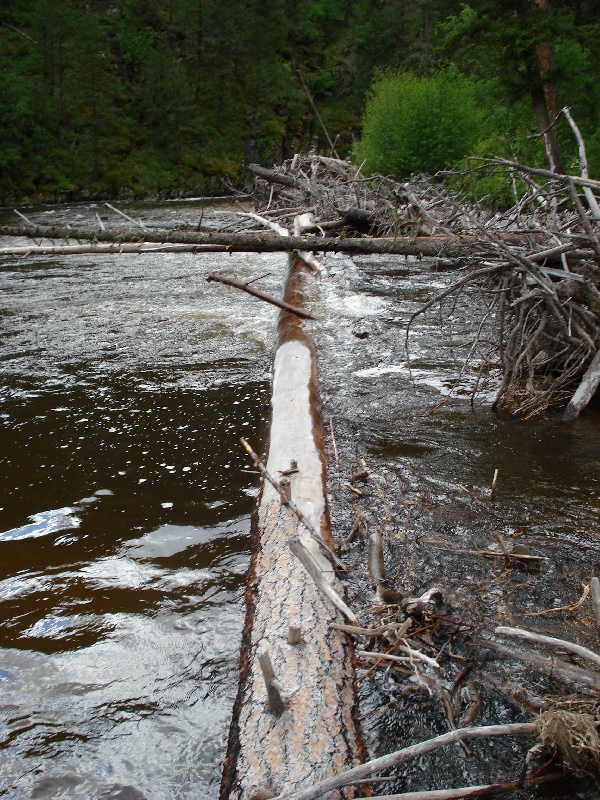 Major Log Jam