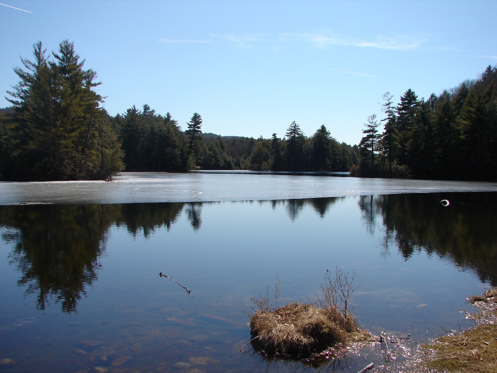 North end of Bigelow Pond