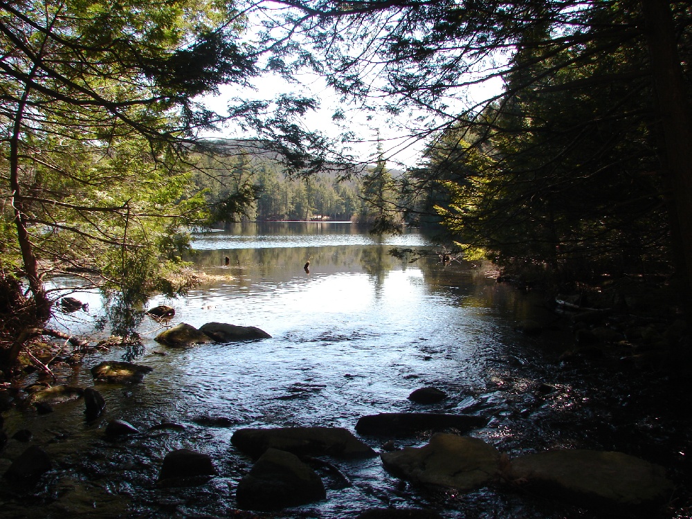 Bigelow Brook running into the pond