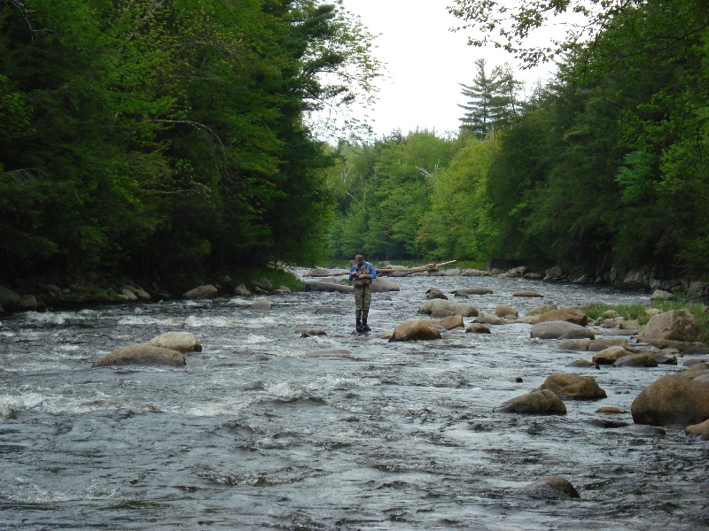 Nate fighting the brown