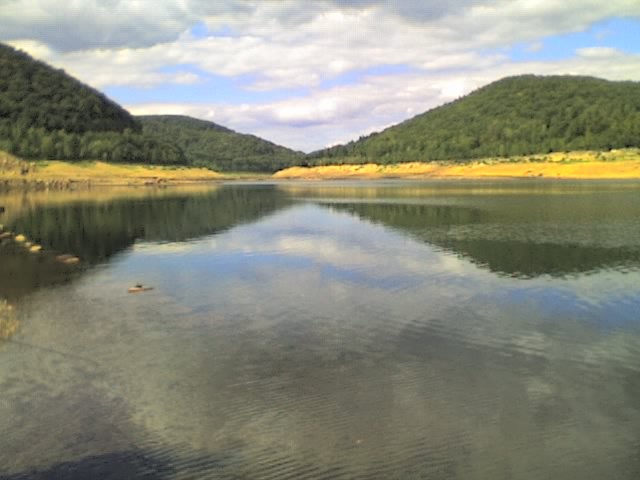 Colebrook Res