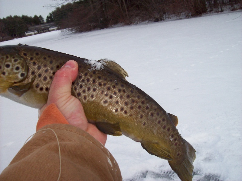 Danielson fishing photo 4