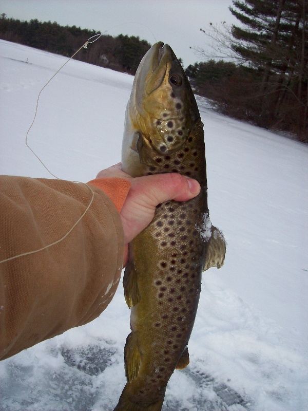 East Brooklyn fishing photo 2