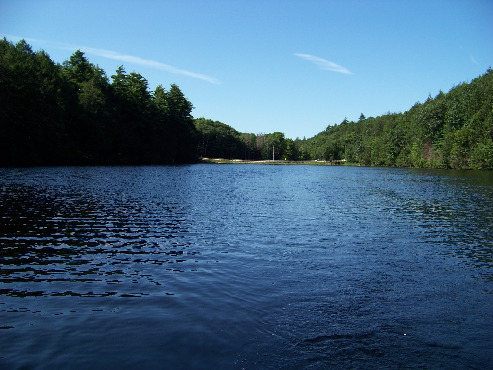 Bigelow Pond View