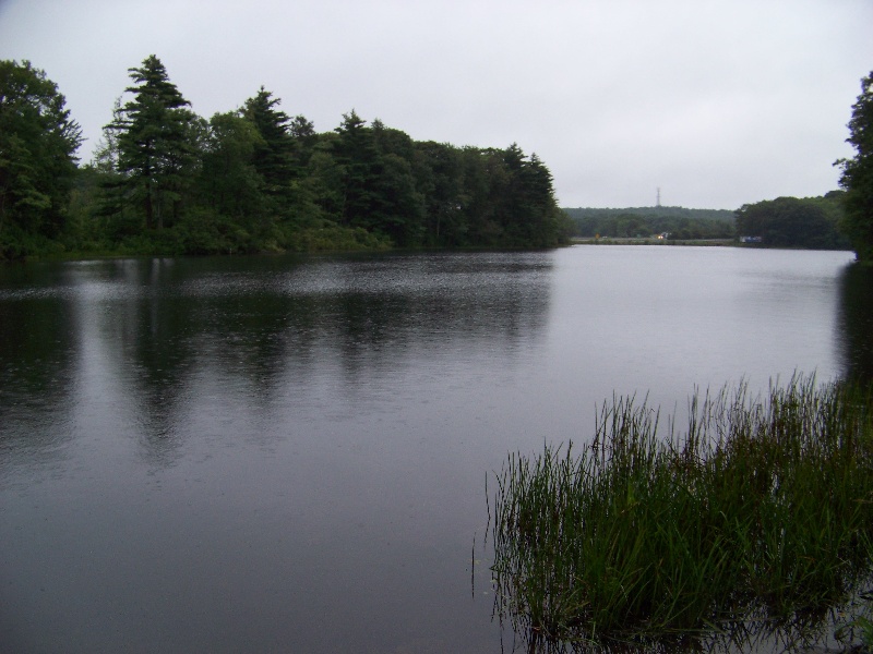 Boat Launch View Morey pond