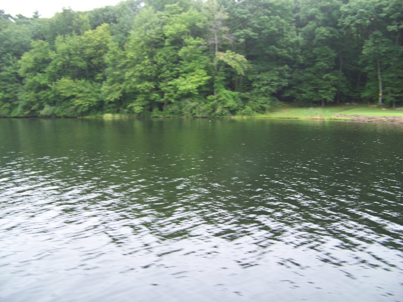 Morey Pond