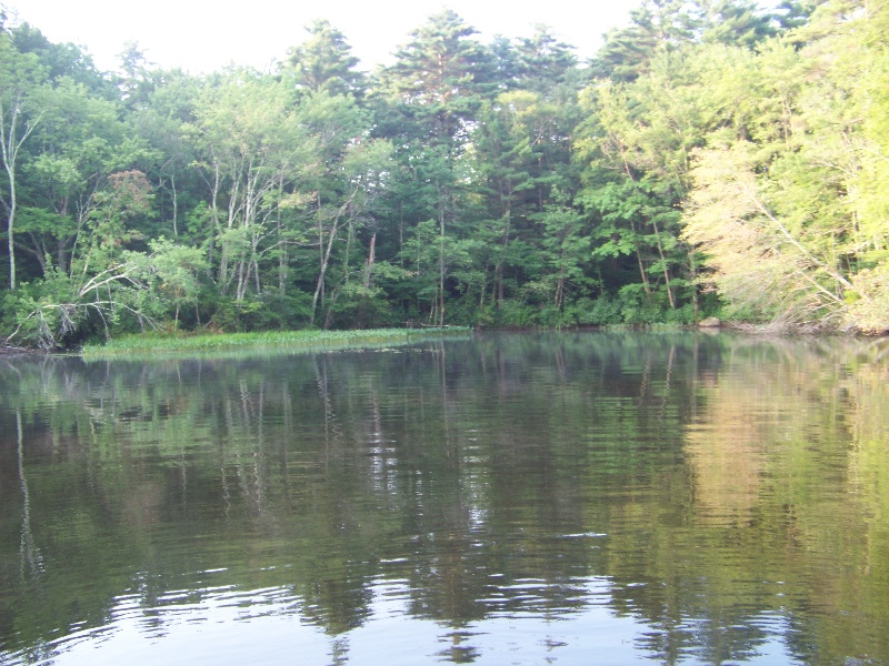 Black Pond View