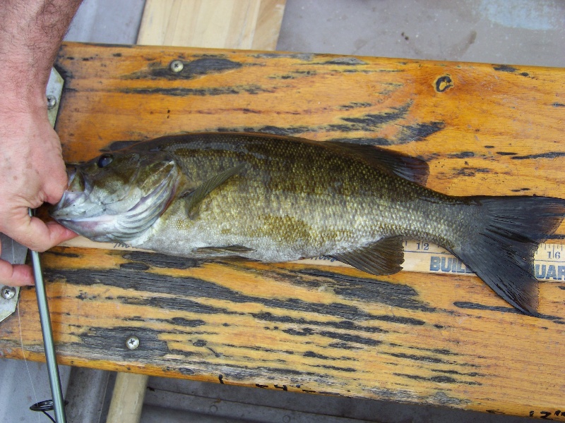 1.3lb Smally at Rainbow Rez near Bloomfield