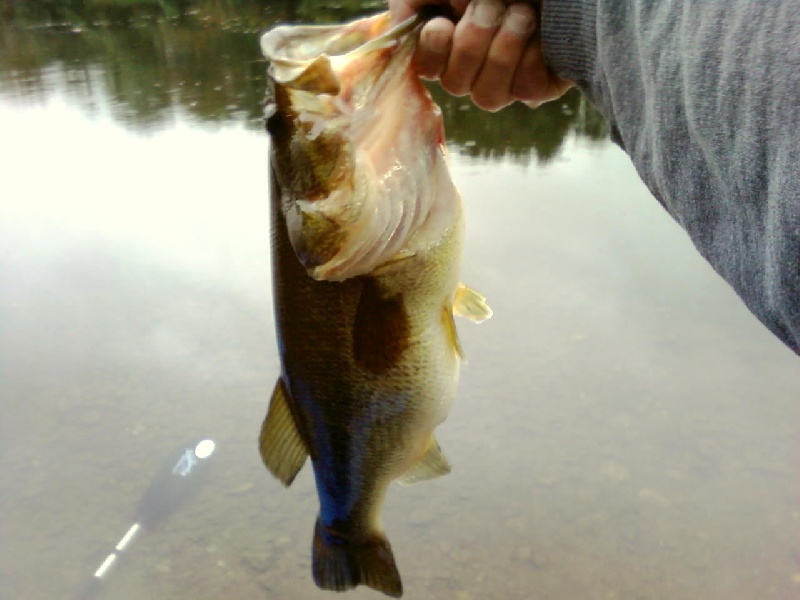 Hazardville fishing photo 0