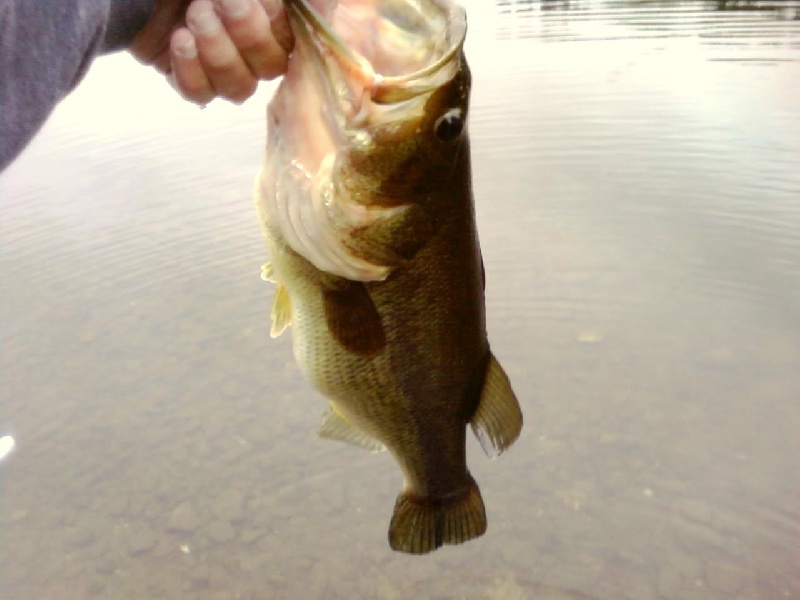 Hazardville fishing photo 2