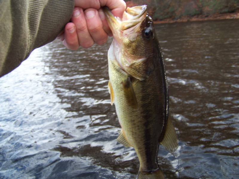 North Grosvenor Dale fishing photo 5