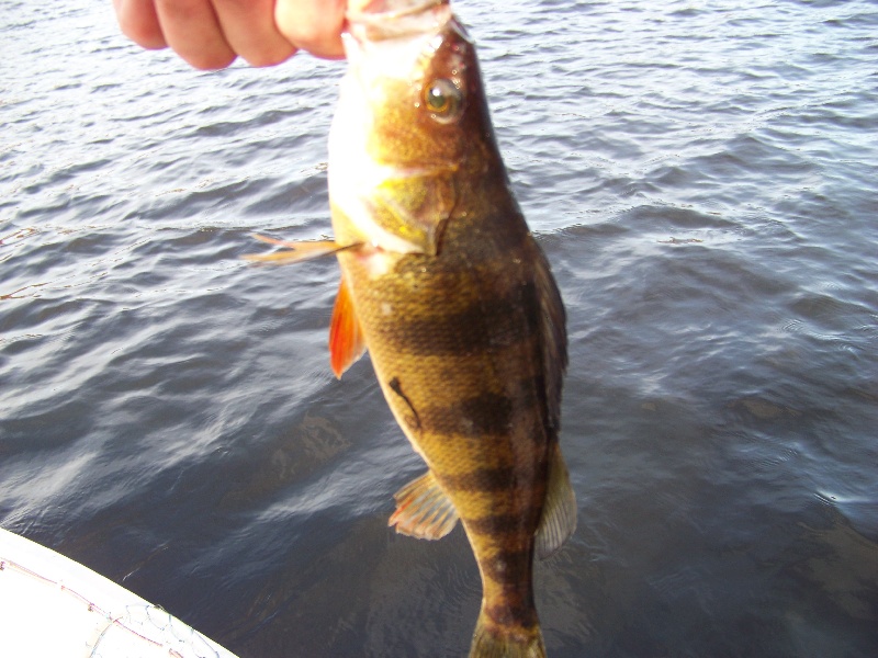 North Grosvenor Dale fishing photo 1