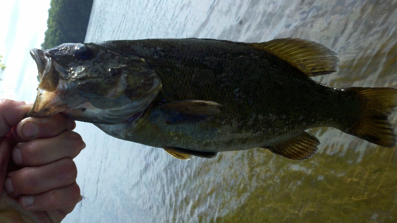 Suffield Depot fishing photo 1