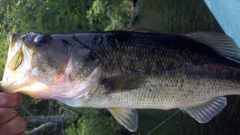 Central Somers fishing photo 5