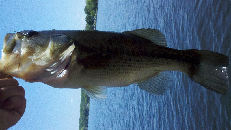 Central Somers fishing photo 3