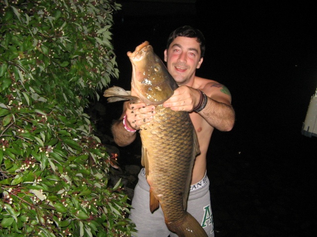 Big Carp